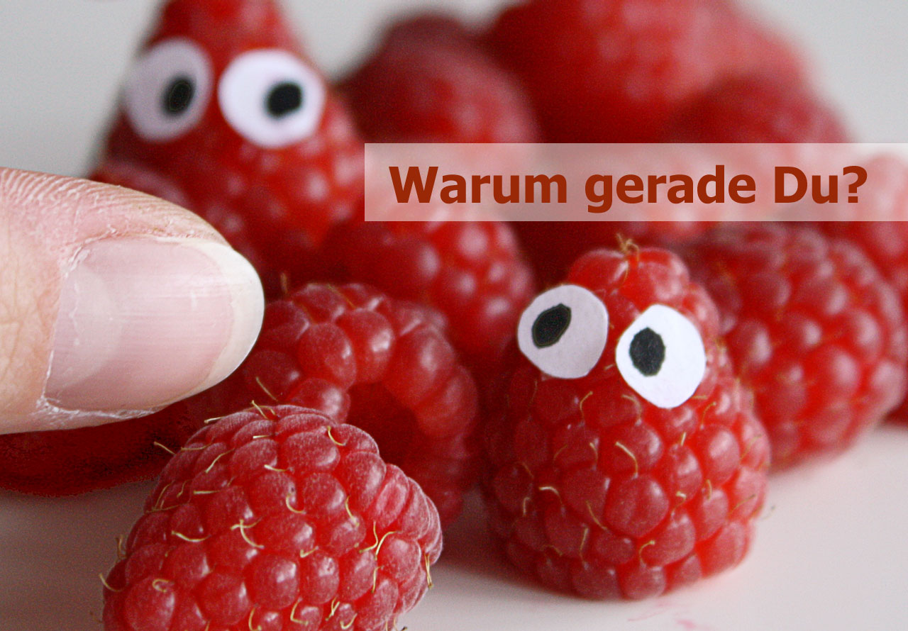 Finger greift zu einer der Himbeeren