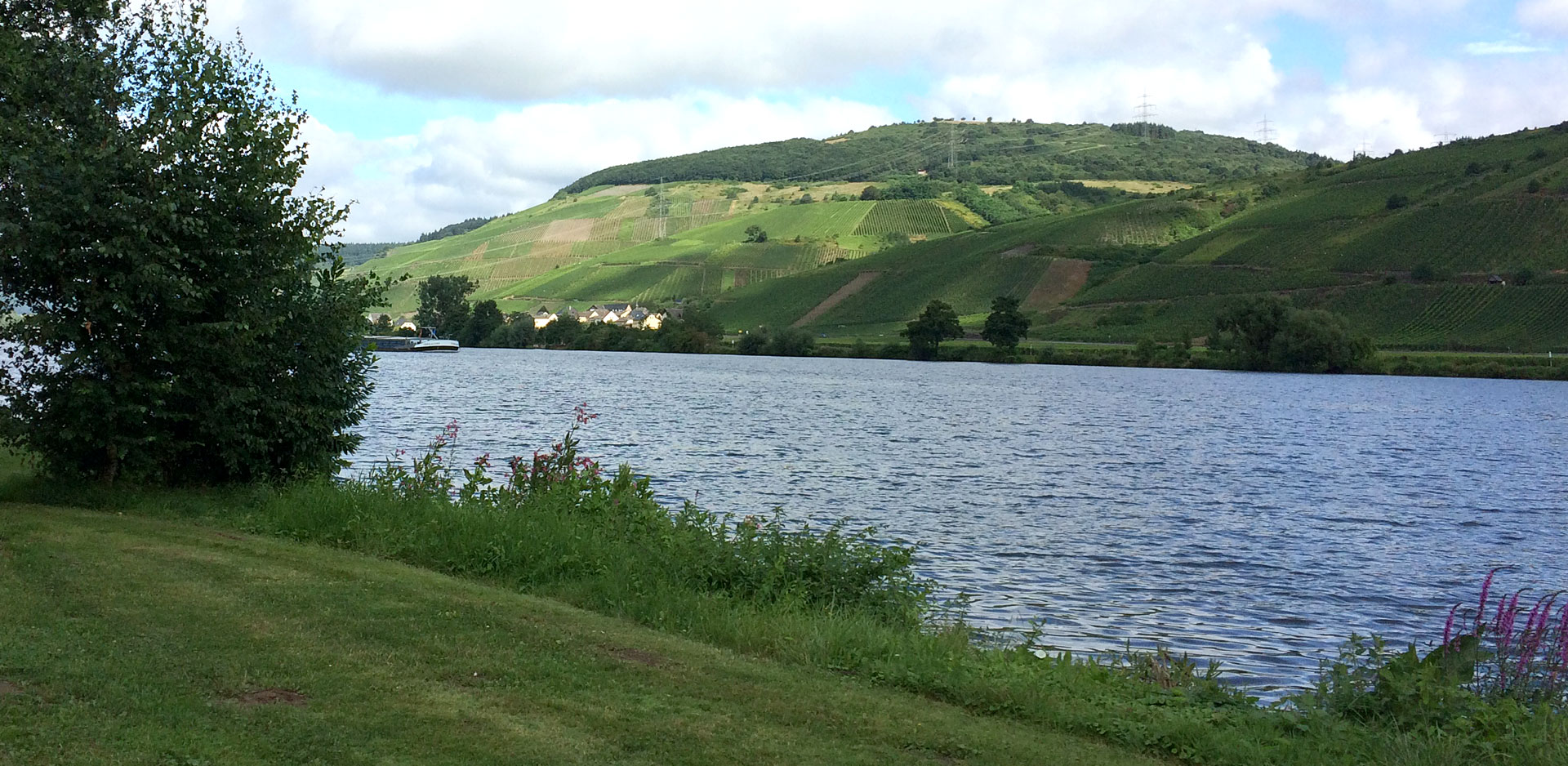 Bild zeigt Natur mit Blick auf Fluss